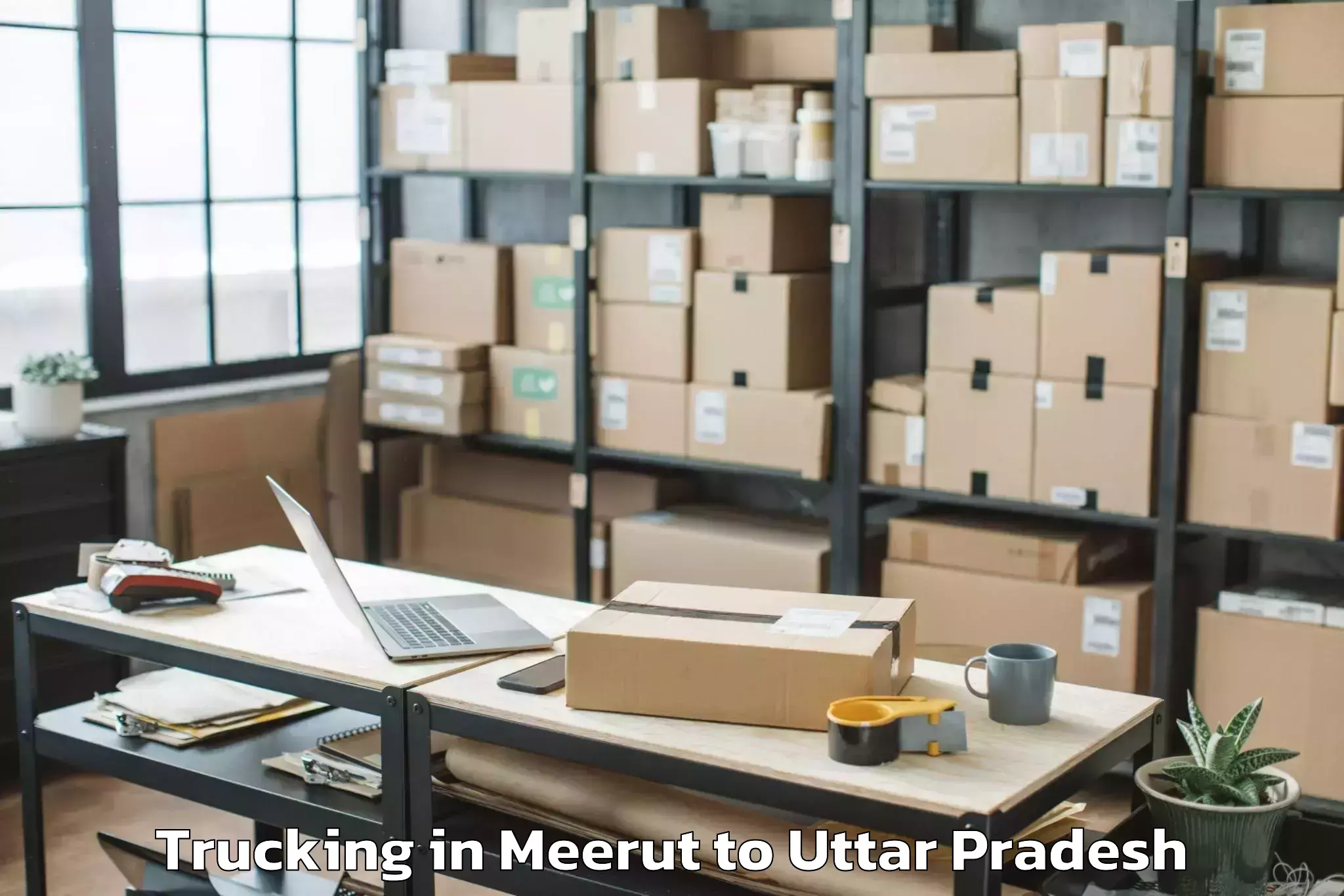 Book Meerut to Unchahar Trucking